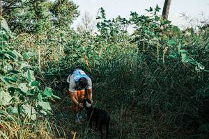 BIB: 
                            <button type="button" onclick="openModal(25658163)" class="btn btn-primary btn-sm float-right btn-popup" data-toggle="modal" data-target=".modal-high-quality">
                        <i class="fas fa-shopping-cart"></i> Add to Cart
                    </button>
                                            <button type="button" onclick="isThisMe(25658163, true)" class="btn btn-success btn-sm float-right btn-popup btn-isme hidden" data-toggle="tooltip" data-placement="bottom" title="นี่คือรูปของคุณใช่ไหม คลิกที่นี่เพื่อเอาเข้าอัลบั้ม">
                        <i class="fas fa-plus"></i> Add to album
                    </button>
                    <button type="button" onclick="isThisMe(25658163, false)" class="btn btn-warning btn-sm float-right btn-popup btn-isnotme hidden">
                        <i class="fas fa-ban"></i> Remove from album
                    </button>